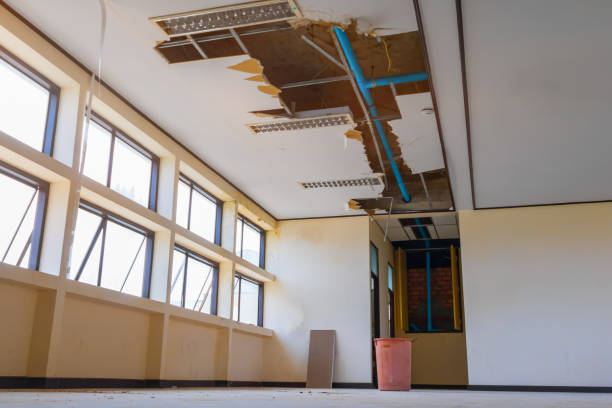 Best Flood damage cleanup  in Maryville, TN