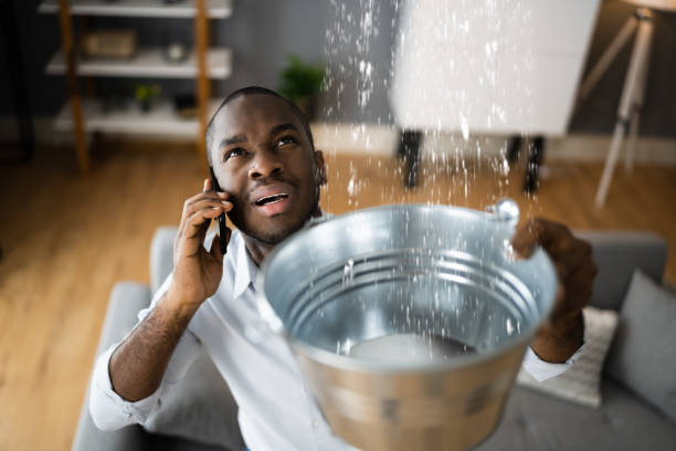 Best Water damage restoration cost  in Maryville, TN