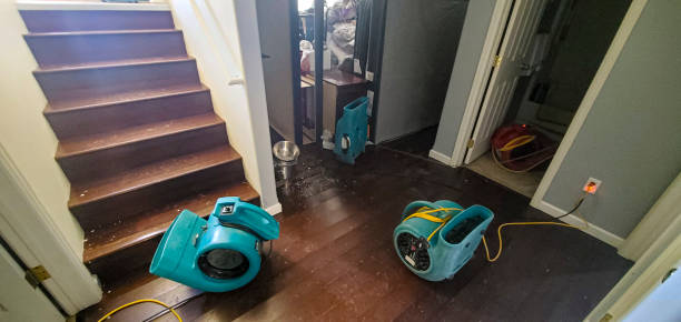 Best Water damage contractors near me  in Maryville, TN