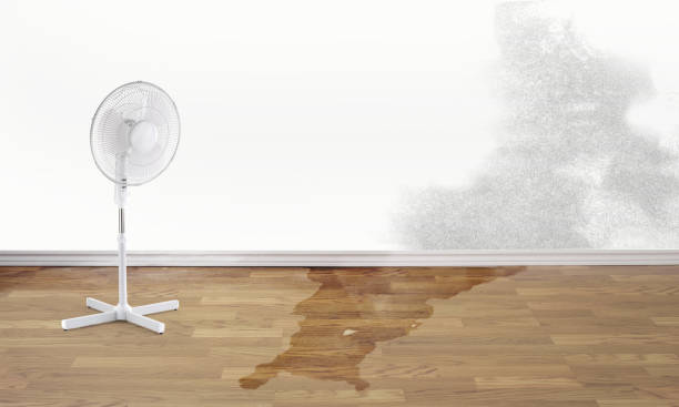 Carpet water damage restoration in TN