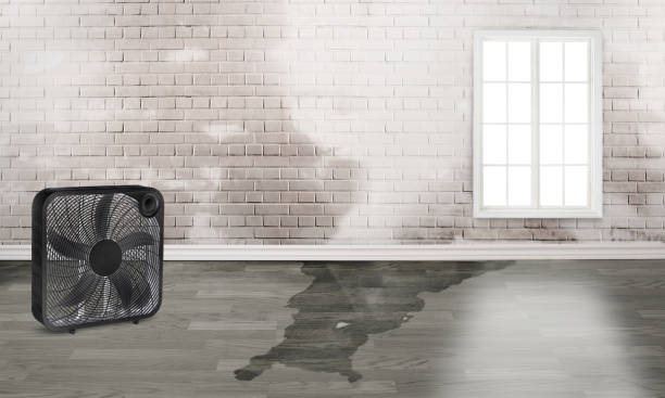 Best Emergency water damage restoration  in Maryville, TN