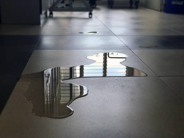 Best 24/7 water damage repair  in Maryville, TN