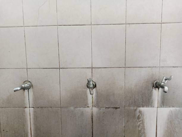 Best Mold removal after water damage  in Maryville, TN