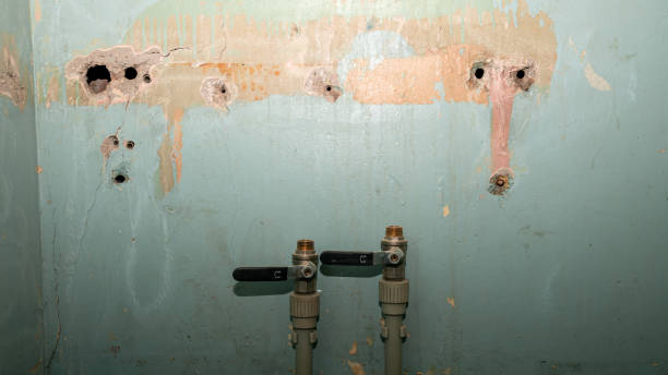 Best Water damage cleanup near me  in Maryville, TN