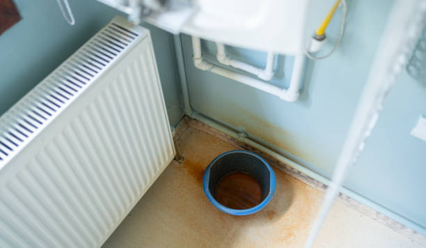 Best Local water damage restoration  in Maryville, TN