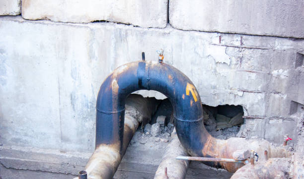 Best Flood restoration services  in Maryville, TN
