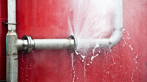Best Professional water damage repair  in Maryville, TN