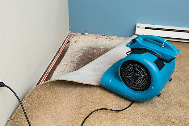 Best Ceiling water damage repair  in Maryville, TN